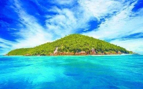 网络公司逃脱